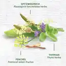 Bild 4 von Bad Heilbrunner Bio Husten- & Bronchial Tee, 24 g