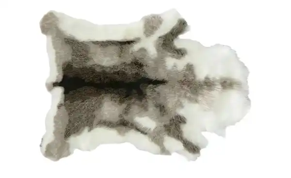 Bild 1 von levelone Kunstfell   ¦ braun ¦ Synthetische Fasern ¦ Maße (cm): B: 90 Teppiche > Felle - Möbel Kraft