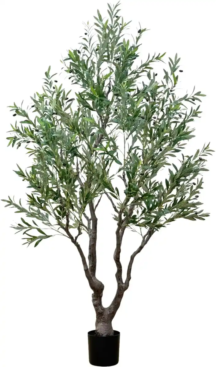 Bild 1 von Kunstpflanze Olivenbaum Grün inkl. Topf, Olivgrün