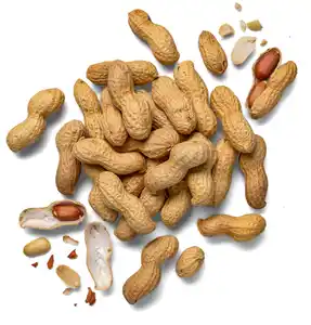 Amerik./ägypt. Erdnüsse XXL, 750-g-Beutel