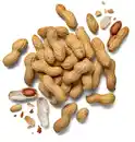 Bild 1 von Amerik./ägypt. Erdnüsse XXL, 750-g-Beutel