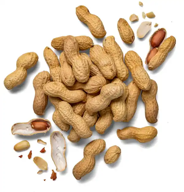 Bild 1 von Amerik./ägypt. Erdnüsse XXL, 750-g-Beutel