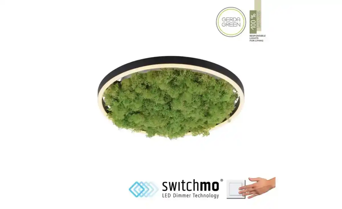 Bild 2 von Paul Neuhaus Deckenleuchte