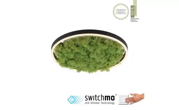 Bild 2 von Paul Neuhaus Deckenleuchte