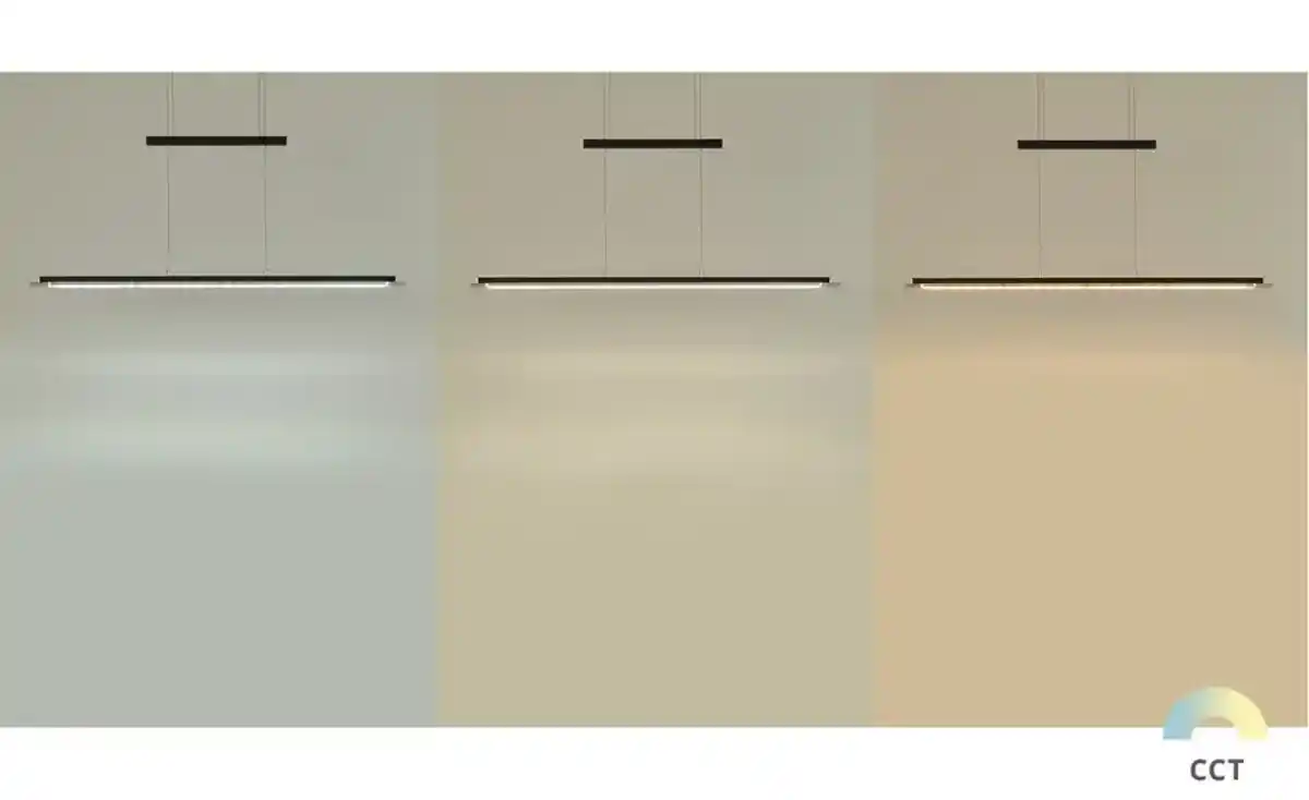 Bild 1 von Fischer-Honsel LED-Pendelleuchte, schwarz-matt/Rauchglas