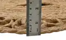 Bild 2 von levelone Jute-Teppich Korba