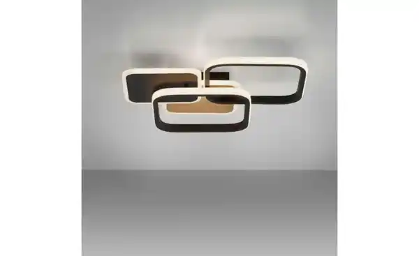 Bild 1 von Paul Neuhaus Deckenleuchte