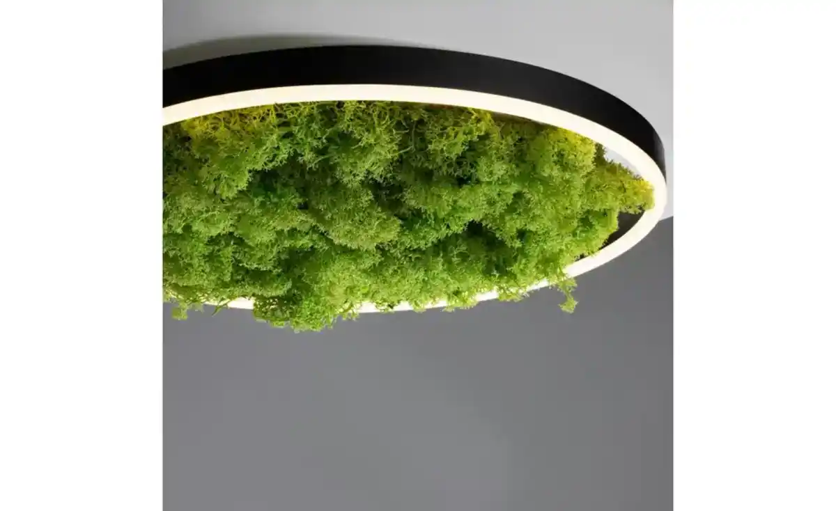 Bild 4 von Paul Neuhaus Deckenleuchte