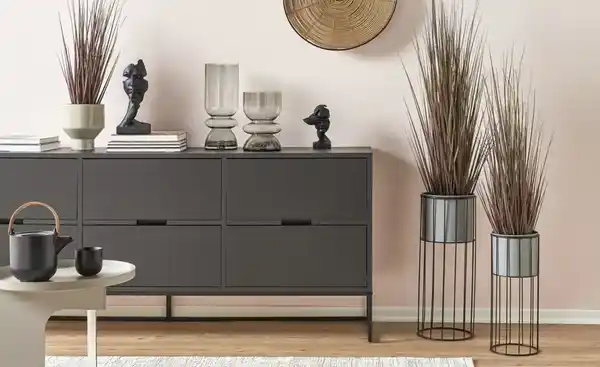 Bild 3 von Grasbüschel getopft