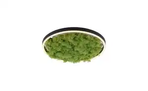 Paul Neuhaus Deckenleuchte