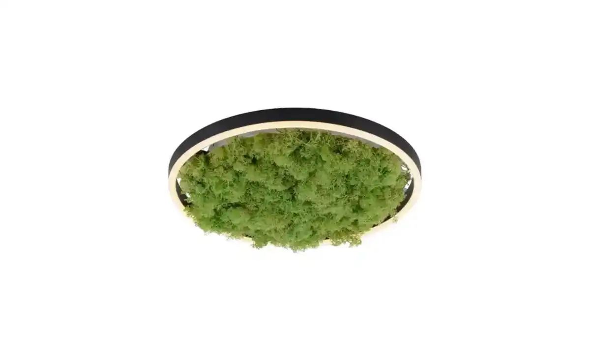 Bild 1 von Paul Neuhaus Deckenleuchte