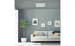 Paul Neuhaus Deckenleuchte