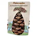 Bild 1 von Pinienzapfen