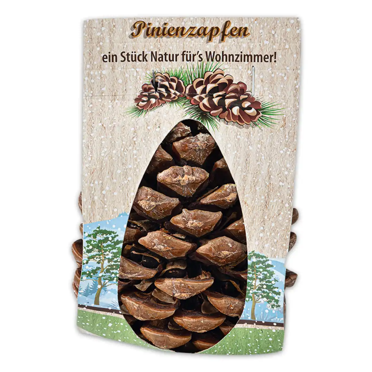 Bild 1 von Pinienzapfen