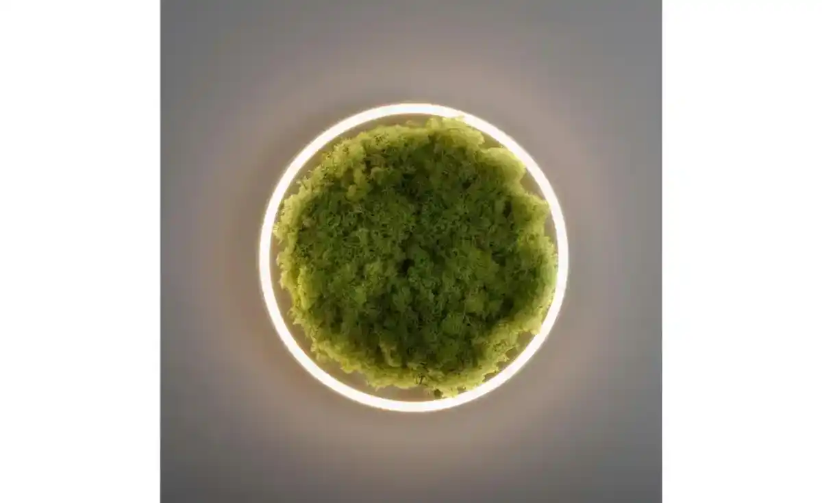 Bild 3 von Paul Neuhaus Deckenleuchte