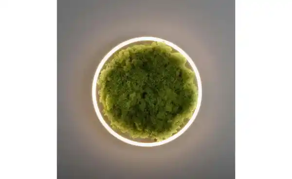 Bild 3 von Paul Neuhaus Deckenleuchte