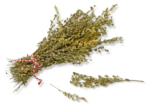 Bild 1 von Bioland dtsch. Beifuss, 15-g-Packg.