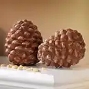 Bild 2 von Pinienzapfen