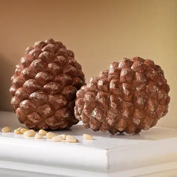 Bild 2 von Pinienzapfen