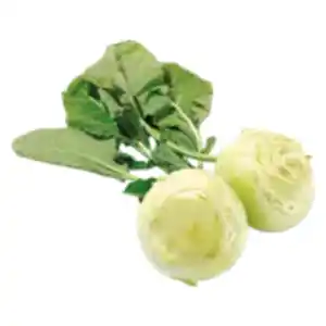 Kohlrabi