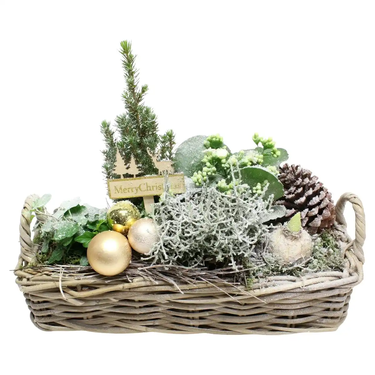 Bild 1 von GARDENLINE Weihnachtlich bepflanzter Korb