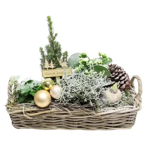 Bild 1 von GARDENLINE Weihnachtlich bepflanzter Korb
