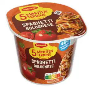 MAGGI 5 Minuten Terrine*