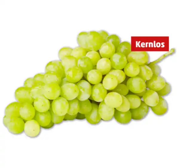 Bild 1 von Helle, kernlose Tafeltrauben