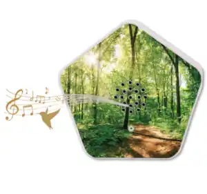 OLYMP SOUNDS OF NATURE-Box*