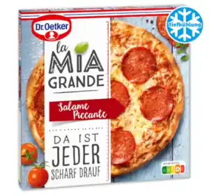 DR. OETKER La Mia Grande Salame Piccante