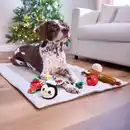 Bild 4 von ROMEO Hunde-Geschenk-Set