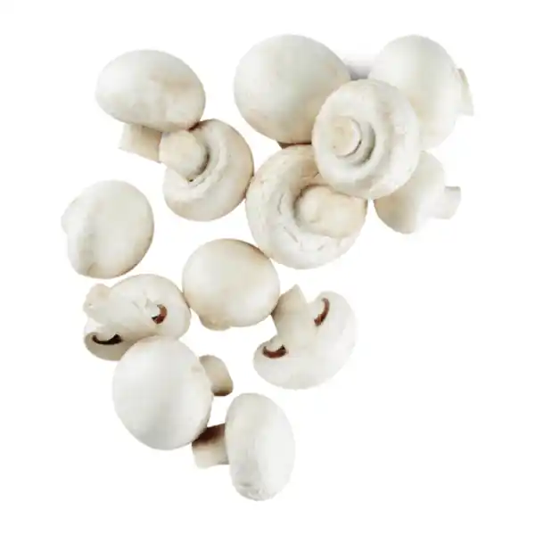 Bild 1 von Feine Champignons weiß 250g