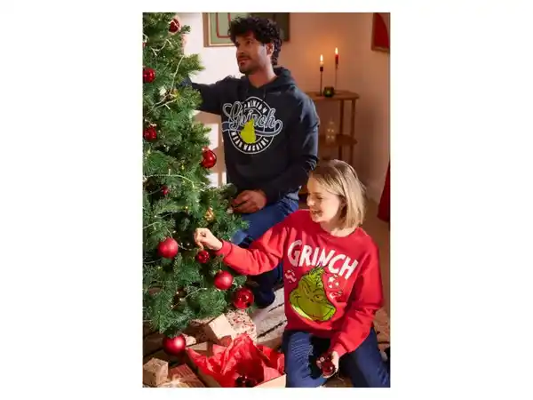 Bild 3 von Herren Sweathoodie