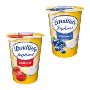 LANDLIEBE Fruchtjoghurt 500g