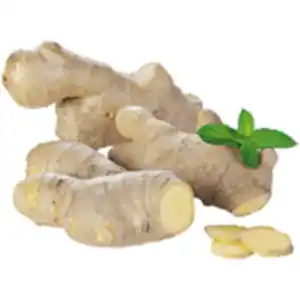Bio Ingwer