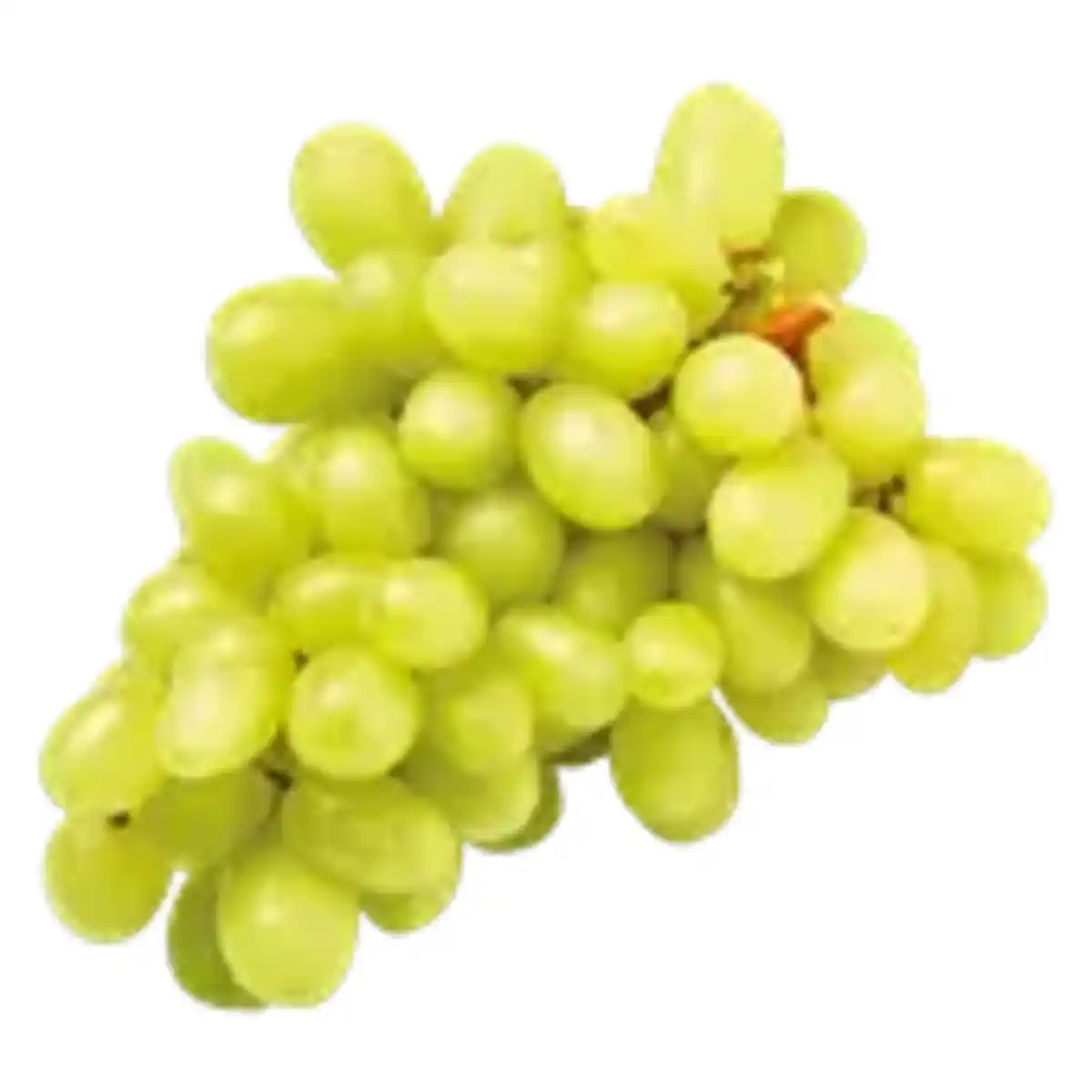 Bild 1 von Trauben kernlos