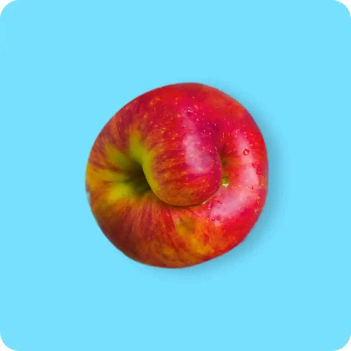 Bild 1 von   Wetteräpfel