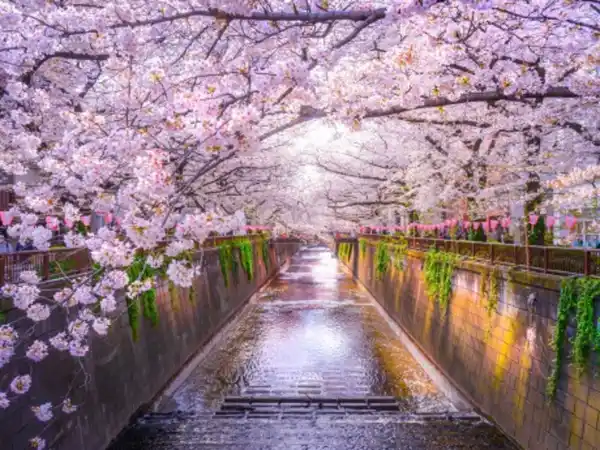 Bild 1 von Rundreisen Japan: Individuelle Rundreise ab Tokio bis Osaka: Faszination Japan