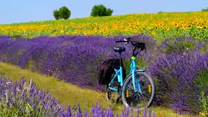 Eigene Anreise Frankreich - Provence: Auf den Spuren der Römer radeln