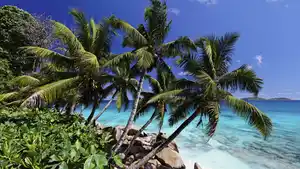 Seychellen - Inselhüpfen - Mahé, La Digue & Praslin (17 Tage)