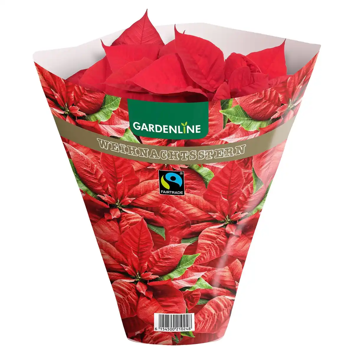 Bild 1 von GARDENLINE Fairtrade Poinsettia