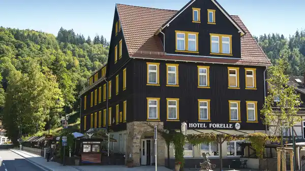 Bild 1 von Deutschland - Harz - Thale OT Treseburg - Ferienhotel Forelle