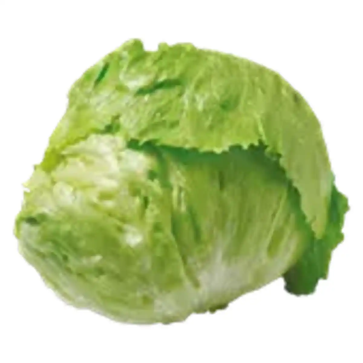 Bild 1 von Eisbergsalat