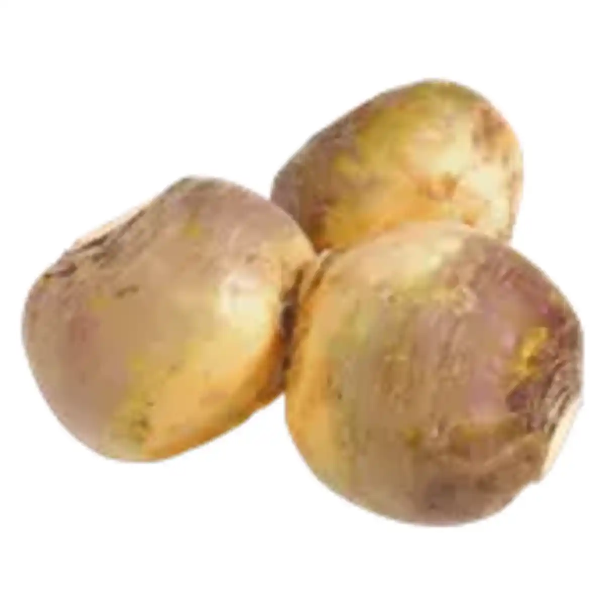 Bild 1 von Steckrübe