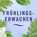 Bild 2 von febreze Auto Lufterfrischer CAR Frühlingserwachen, 2 ml