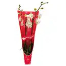 Bild 1 von GARDENLINE Orchidee in Geschenkverpackung