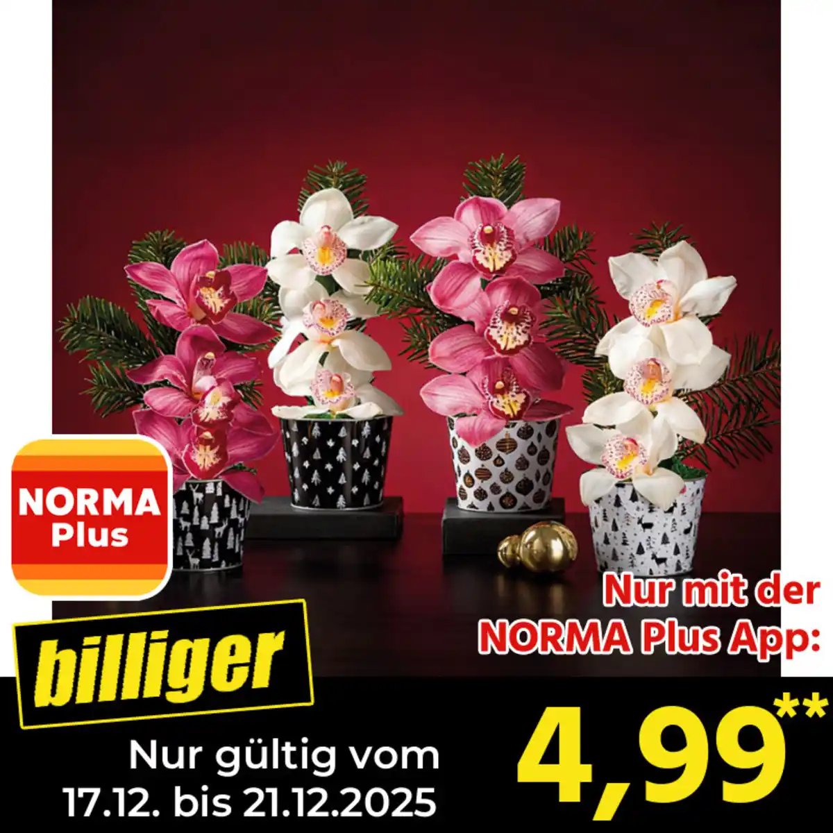 Bild 1 von Orchideengesteck