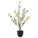 Bild 1 von Kirschblütenzweig Kirschblüte Weiß ca. 64cm, Weiß