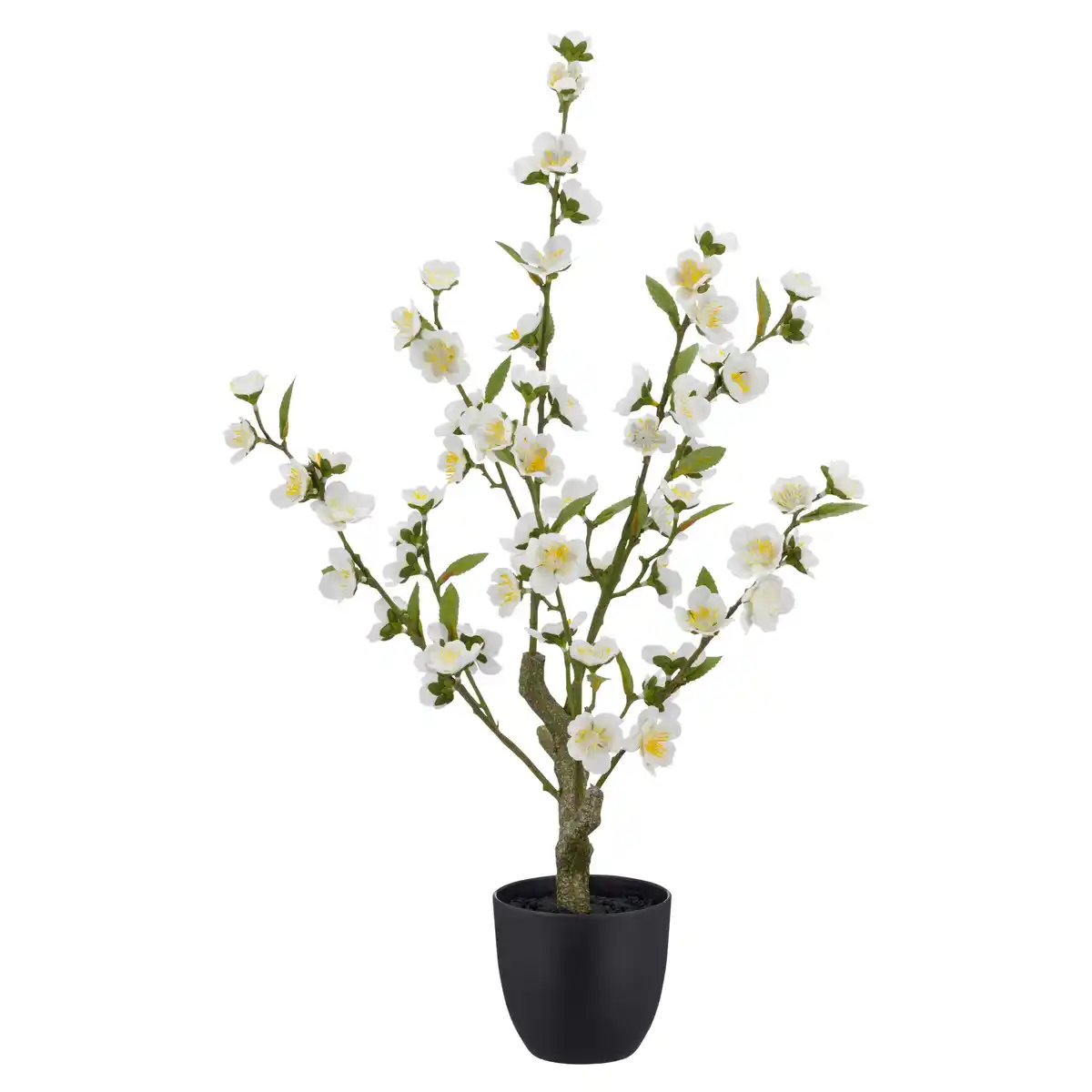 Bild 1 von Kirschblütenzweig Kirschblüte Weiß ca. 64cm, Weiß