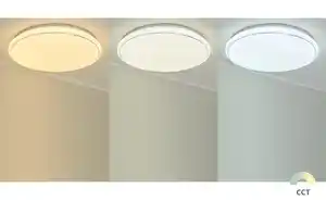 Paul Neuhaus Smart Home-Deckenleuchte, 1-flammig